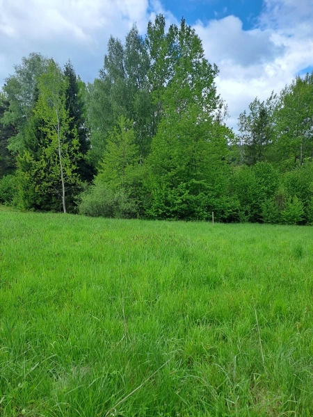 Działka Budowlana MPZP Uście Gorlickie Cisza Góry Las Jezioro Okazja