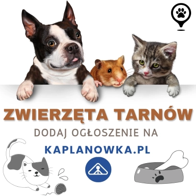 Zwierzęta Tarnów