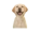Zwierzęta