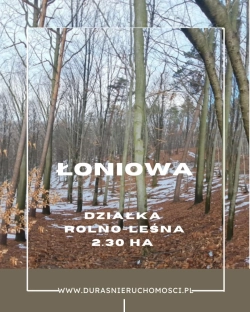 Łoniowa działka rolno-leśna 2,30 ha