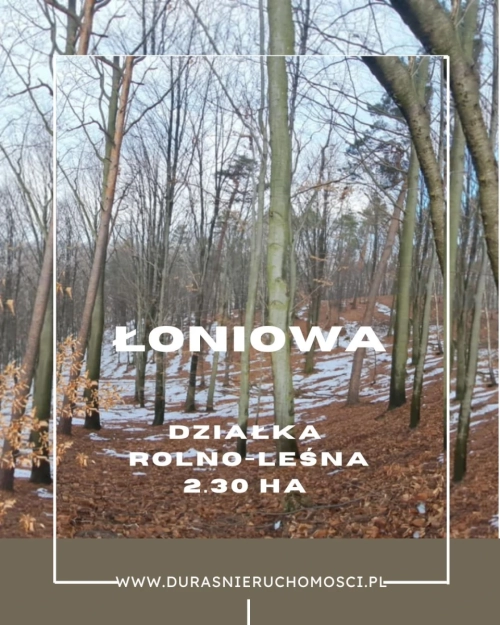 Łoniowa działka rolno-leśna 2,30 ha
