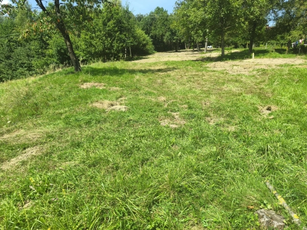 Działka w Janowicach