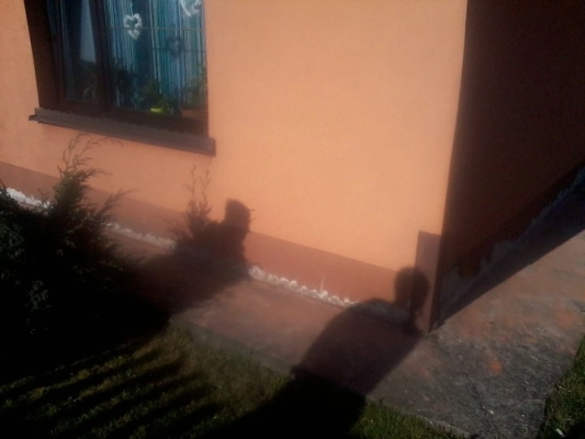 Drenaże, iniekcja krystaliczna i podcinanie ścian Tarnów