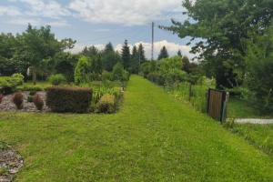 ROD "Słonecznik" Tarnów ul. Ostrogskich