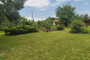 ROD "Słonecznik" Tarnów ul. Ostrogskich