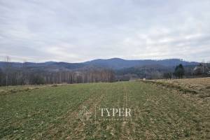 Działka Ryglice 77 arów