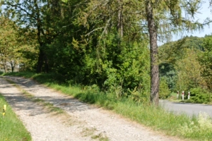 Działka w Janowicach