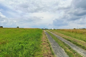 Działka budowlana -Ryglice 30,42 ary