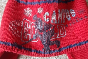 Czapka zimowa chłopięca 54/110-128