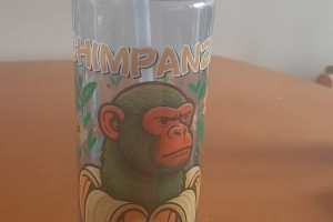 Butelka bidon na wodę Chimpanzin Bananinn 700ml Italian Brainrot 