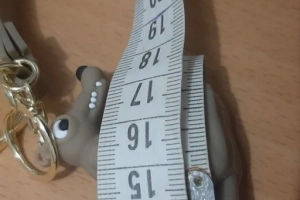 Brelok Epoka Lodowcowa postać Scrat