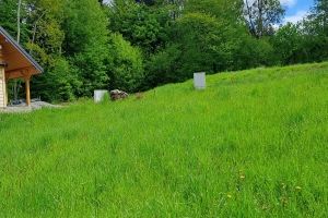 Działka Budowlana MPZP Uście Gorlickie Cisza Góry Las Jezioro Okazja