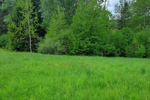 Działka Budowlana MPZP Uście Gorlickie Cisza Góry Las Jezioro Okazja