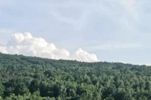 Lipnica Dolna - 7 hektarów, 33 ary: dwie działki rolne w trakcie przekształcenia na budowlane, pozostałe w formie lasu