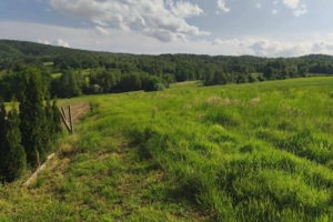 Lipnica Dolna - 7 hektarów, 33 ary: dwie działki rolne w trakcie przekształcenia na budowlane, pozostałe w formie lasu