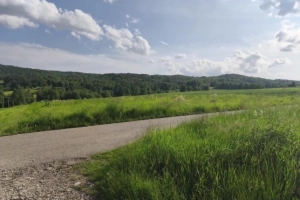 Lipnica Dolna - 7 hektarów, 33 ary: dwie działki rolne w trakcie przekształcenia na budowlane, pozostałe w formie lasu