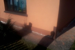 Skuteczne osuszanie budynków i odgrzybianie ścian. Pozbądź się wilgoci i chroń zdrowie