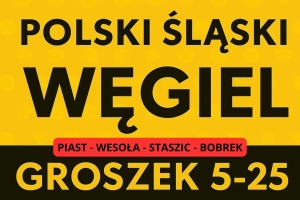 PROMOCJA POLSKI ŚLASKI WĘGIEL - GROSZEK - DARMOWA DOSTAWA