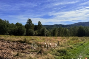 Działka Ryglice 45 arów