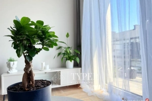 UMEBLOWANE MIESZKANIE – ZBYLITOWSKA GÓRA