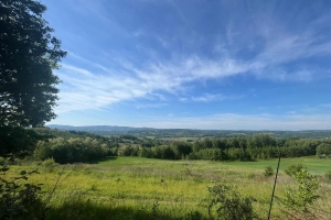 Ostatnie 3 sąsiednie działki! 1 z 4 już sprzedana! - Zabłędza (k. Tuchowa)