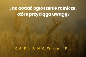 🚜 Jak dodać ogłoszenie rolnicze, które przyciąga uwagę?